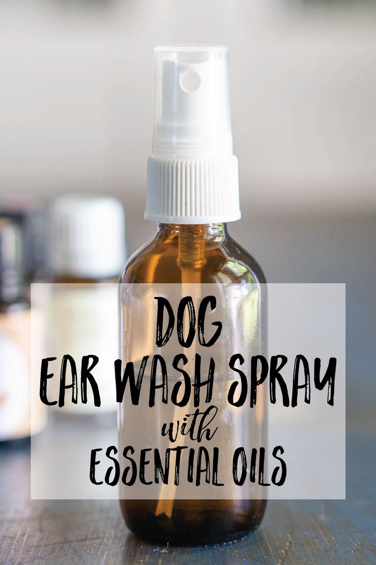 a bottle of dog ear wash spray with essential oils