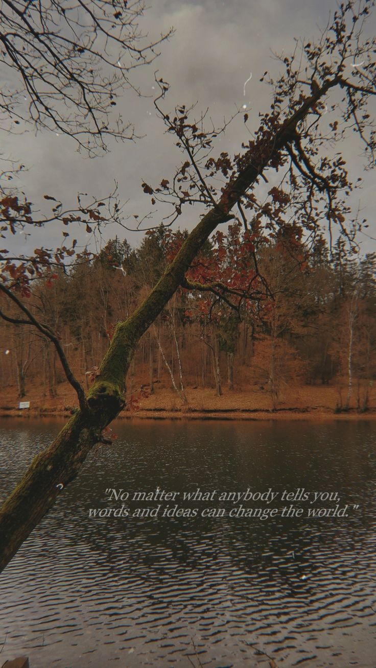 a tree leaning over the edge of a body of water with a quote written on it