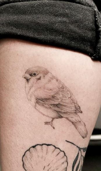 a small bird sitting on top of a flower next to a leaf and a shell