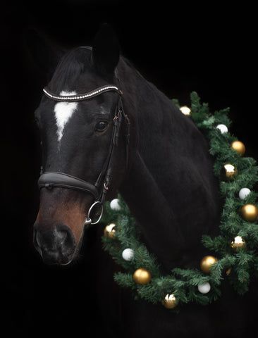 a black horse wearing a christmas wreath around its neck and head with gold balls on it's bridle