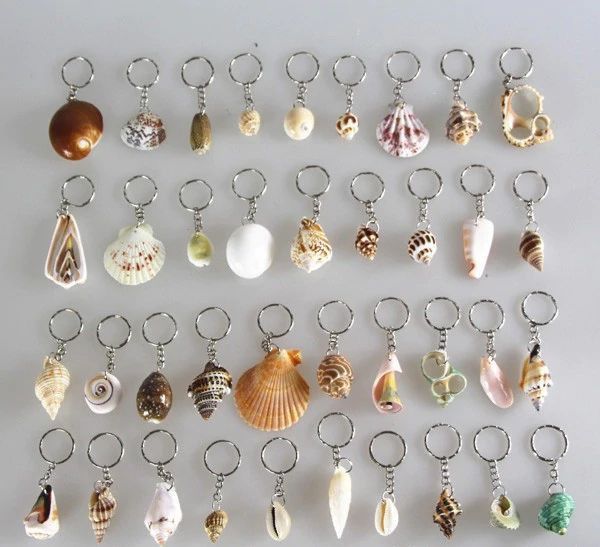 a bunch of seashells are hanging from key chains on a white surface,