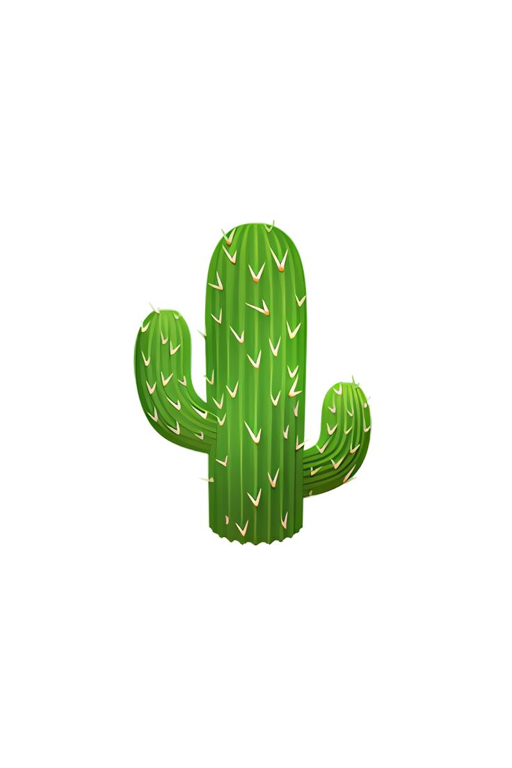 a green cactus with white leaves on it