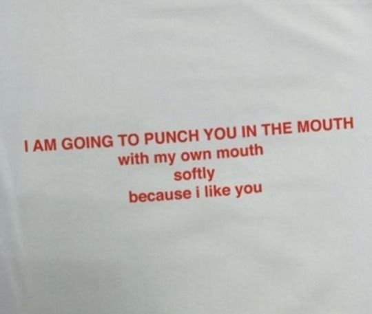 a t - shirt with the words i am going to punch you in the mouth