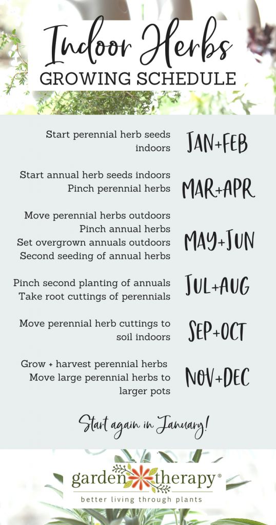 a poster with the words indoor herbs growing schedule written in black and white on it