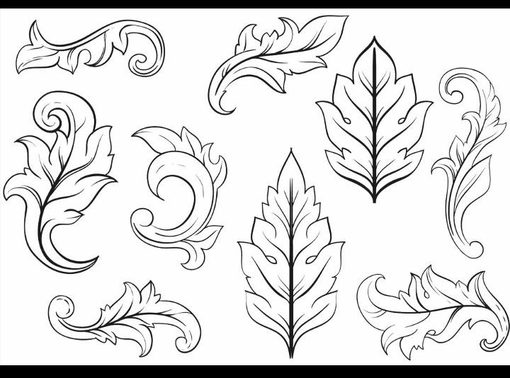 the different types of leaves are shown in black and white, including one with swirls