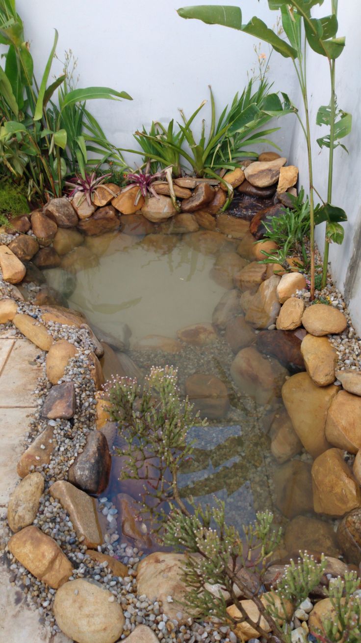 a small pond surrounded by rocks and plants