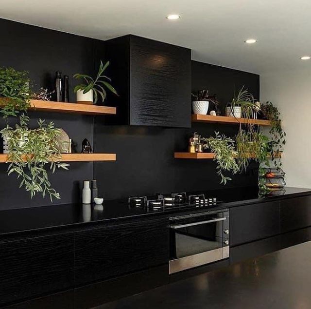 a kitchen with black cabinets and plants on the shelves above it, along with an oven