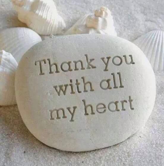 a rock that says thank you with all my heart surrounded by sea shells and seashells