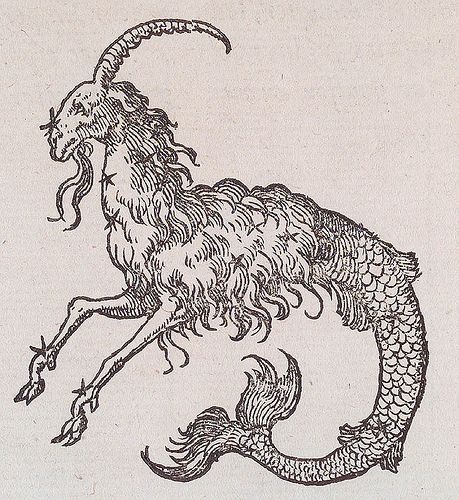 an old book with a drawing of a goat on it's back legs and long horns