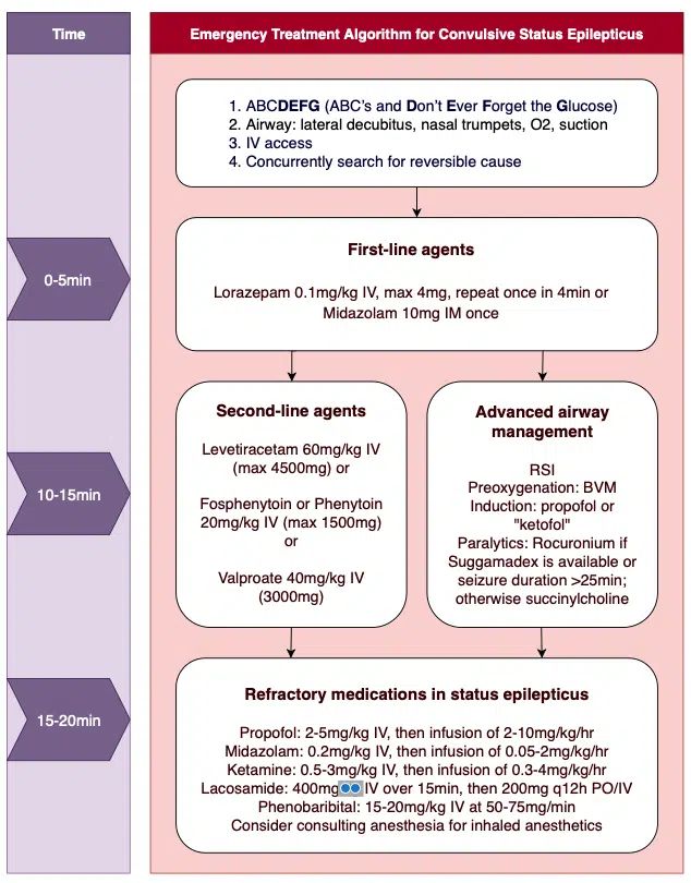 Emergency Management of Status Epilepticus | EM Cases Status Epilepticus, Airway Management, Life Friends, Medical Facts, Second Line, Emergency Management, Critical Care, Neurology, Paramedic