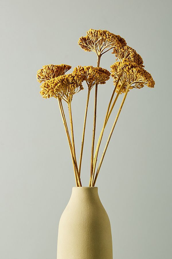 three dried flowers in a white vase on a table