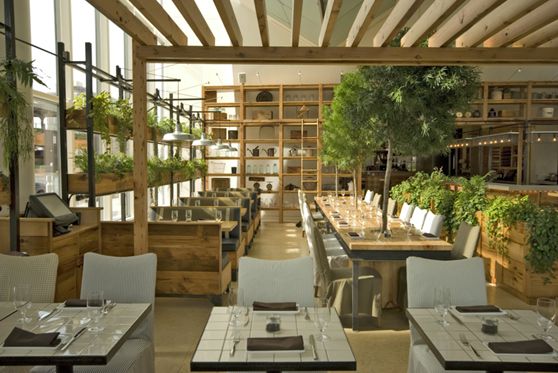 an outdoor dining area with tables and chairs, plants on the shelves in the background