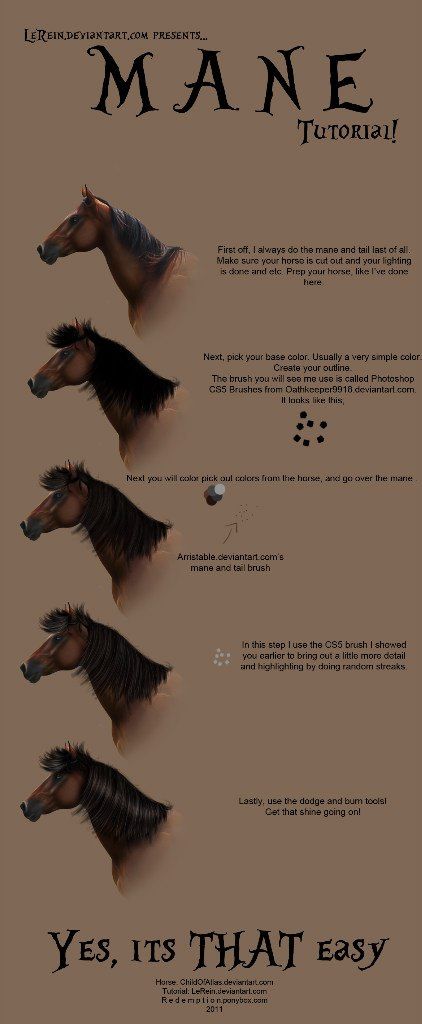 three horses are shown in different stages of their hair and the words mane on it