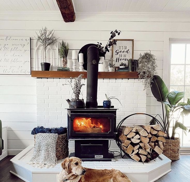 a dog laying on the floor in front of an open fire place with logs and plants