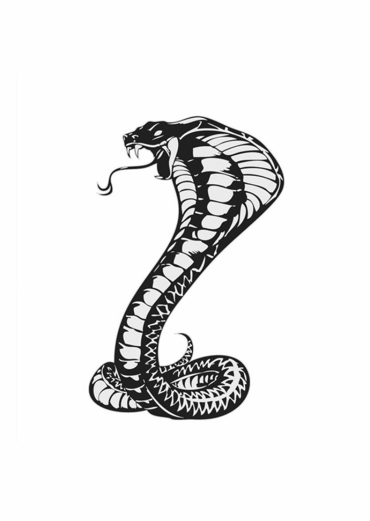 a black and white drawing of a snake in the shape of a letter z on a white background