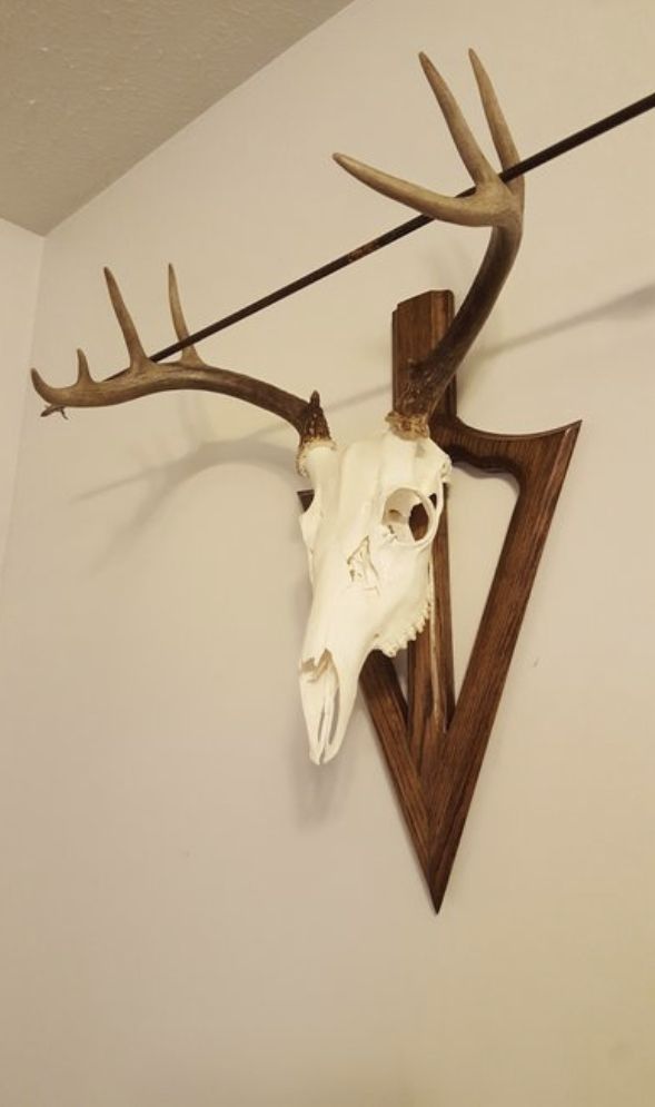 a deer's head mounted on the side of a wall with antlers hanging from it