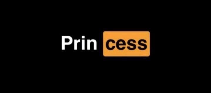 the prin cess logo on a black background