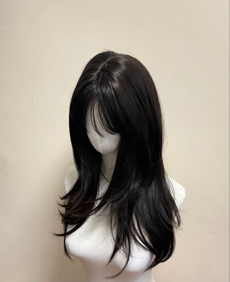 Cute Haircuts For Long Hair With Bangs, Totanakagawa Hair, Hair Claims For Dr, Asian Layered Hair, Korean Hush Cut, Back Of Hair, Pretty Hair Cuts, Natural Black Hair, Straight Black Hair