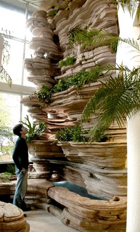 a man standing in front of a very tall rock wall with plants growing on it