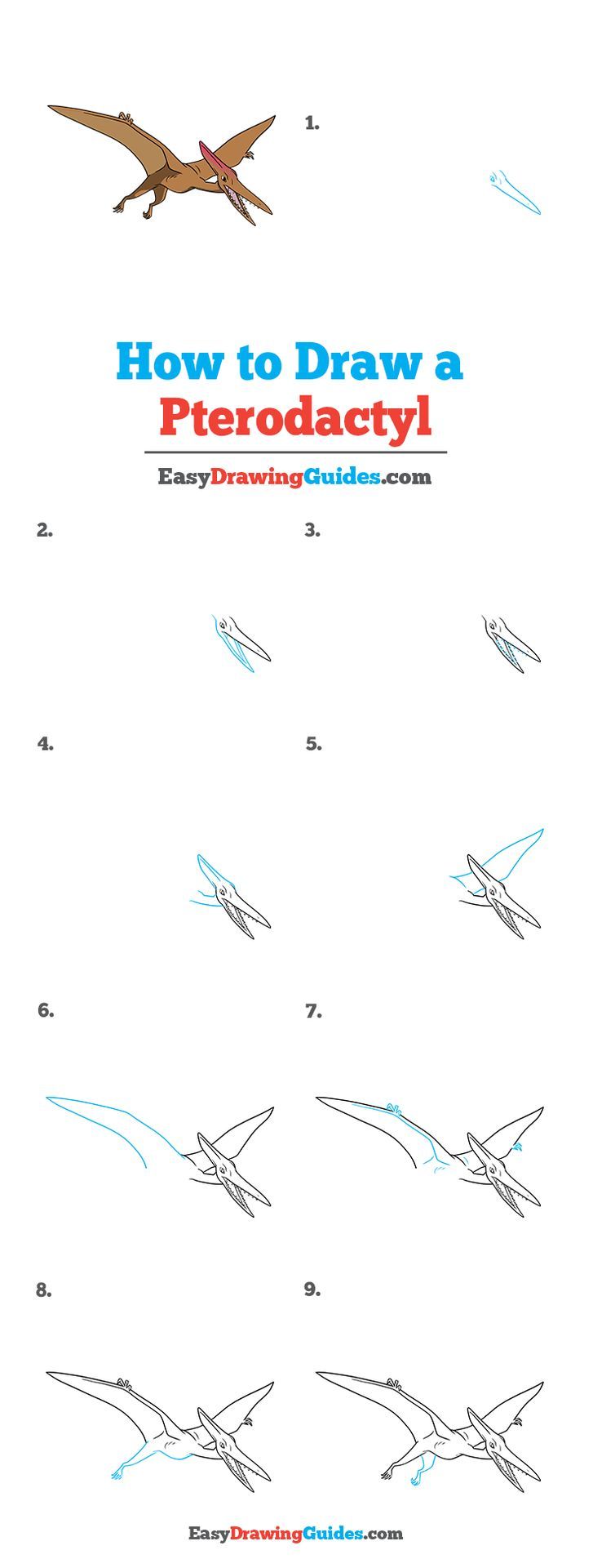 how to draw a pterodacyl step by step instructions for children and adults