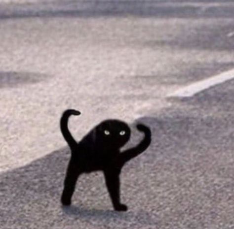 a black cat standing on its hind legs in the middle of an empty parking lot