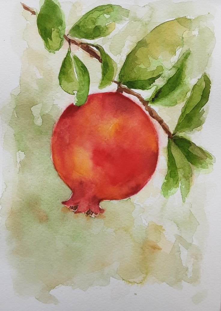 a watercolor painting of a pomegranate on a branch with green leaves