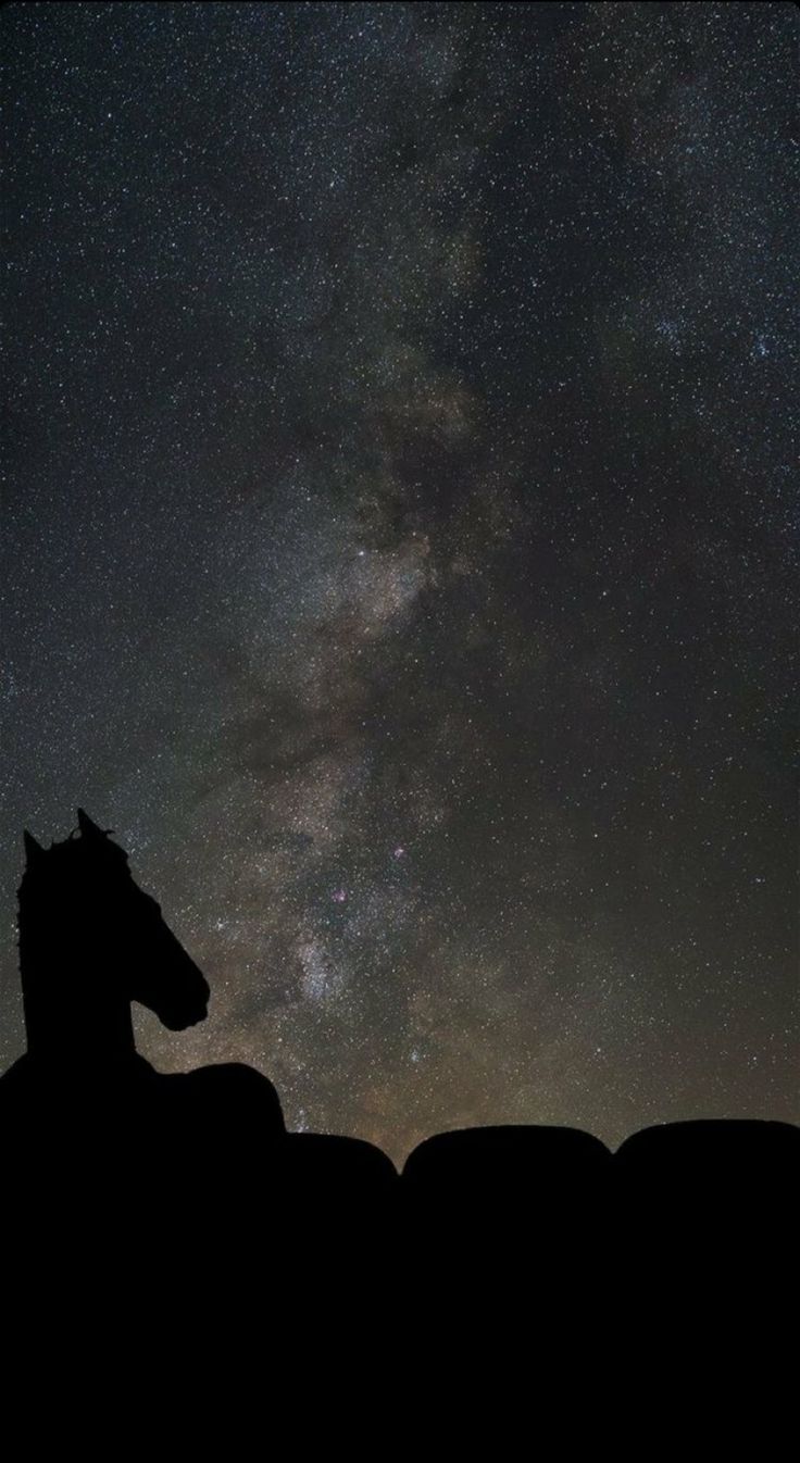 two horses are silhouetted against the night sky, with stars in the back ground