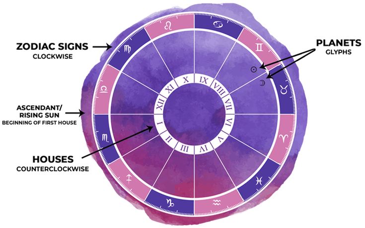 the zodiac wheel is labeled in purple and red