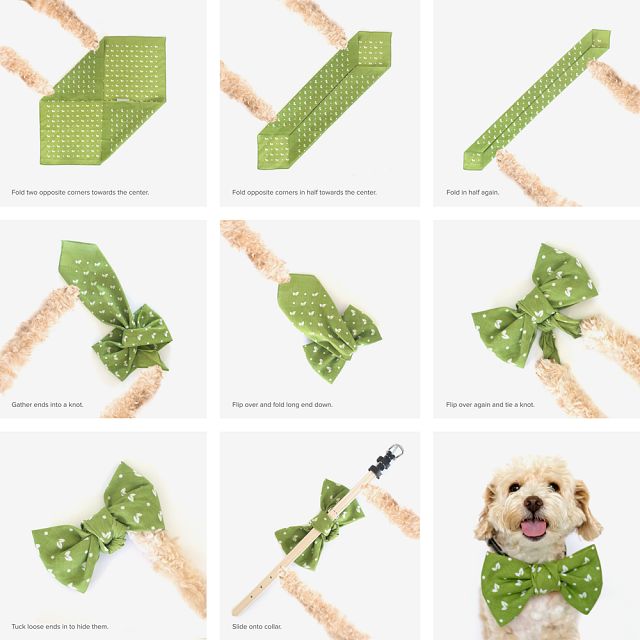 the instructions for how to tie a dog's bowtie