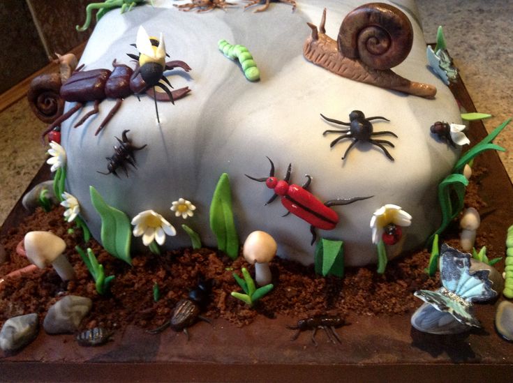 a cake decorated with bugs and other insects on top of dirt, grass and rocks