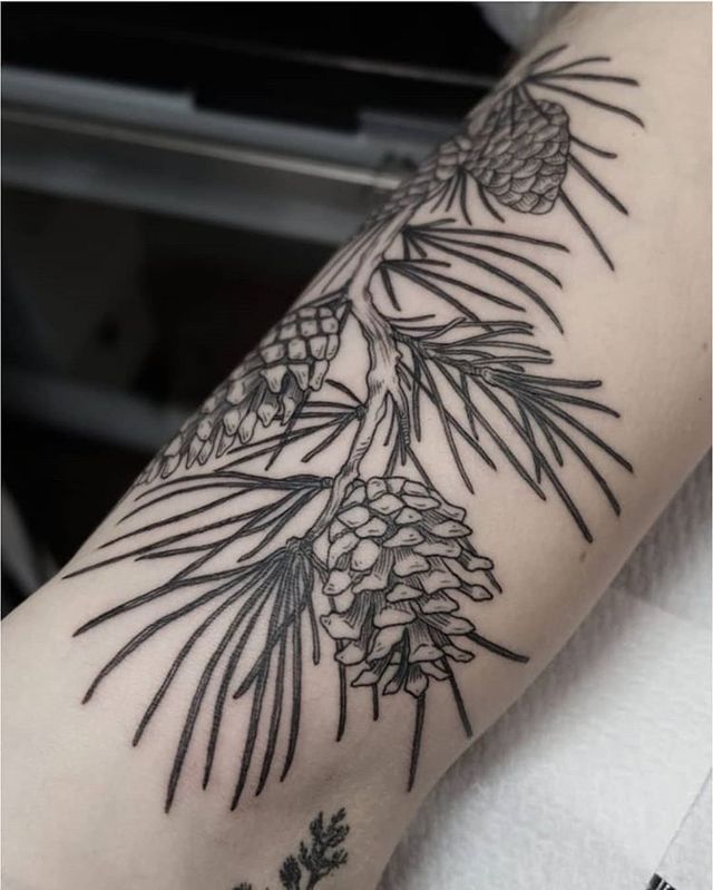 a pine cone tattoo on the arm