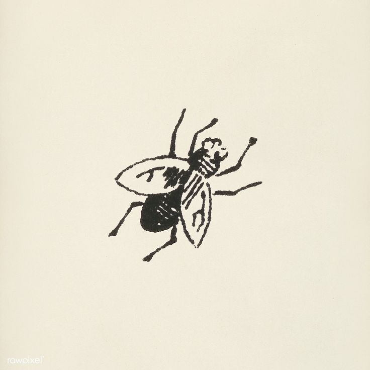 a black and white drawing of a bee