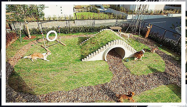 Dog Run - Ouch! - Struggling to discover the solutions that you have been searching for? Why not try Amazon.com TODAY! Dog Park Design, Outdoor Dog Area, Backyard Dog Area, Puppy Playground, Dog Play Area, Hotel Pet, Dog Friendly Garden, Pet Garden, Dog Friendly Backyard