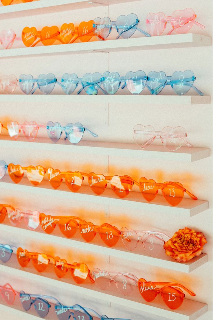 many different colored glasses are lined up on the wall with one flower in front of them