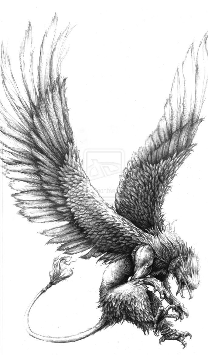 a black and white drawing of a bird with wings