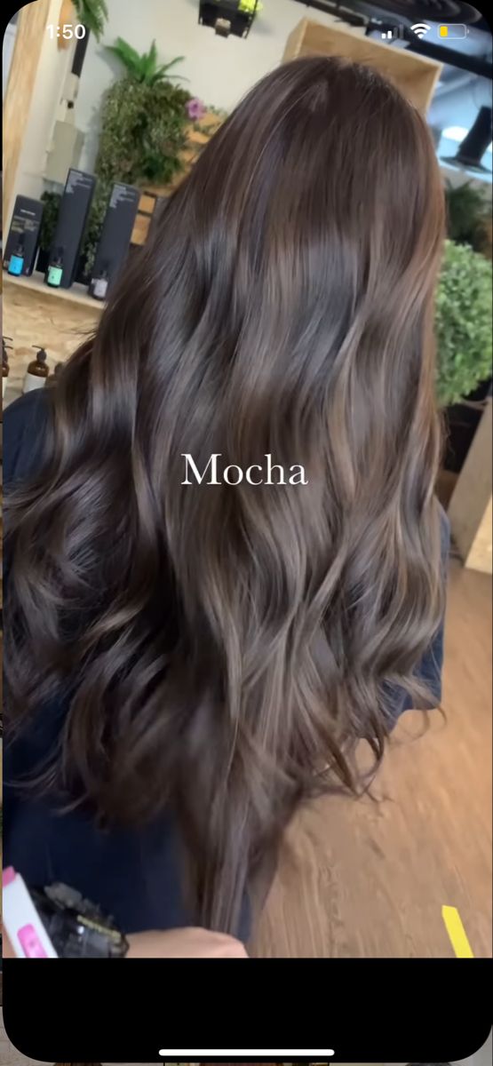 Rich Brunette Hair Cool Tone, Old Money Brown Balayage, Pale Skin Brunette Balayage, Dark Brown With Natural Highlights, Neutral Brown Balayage On Black Hair, Cool Toned Babylights Brunette, Dark Brown Hair For Olive Skin Tone, 2025 Brunette Hair, Dark Ashy Brunette Hair