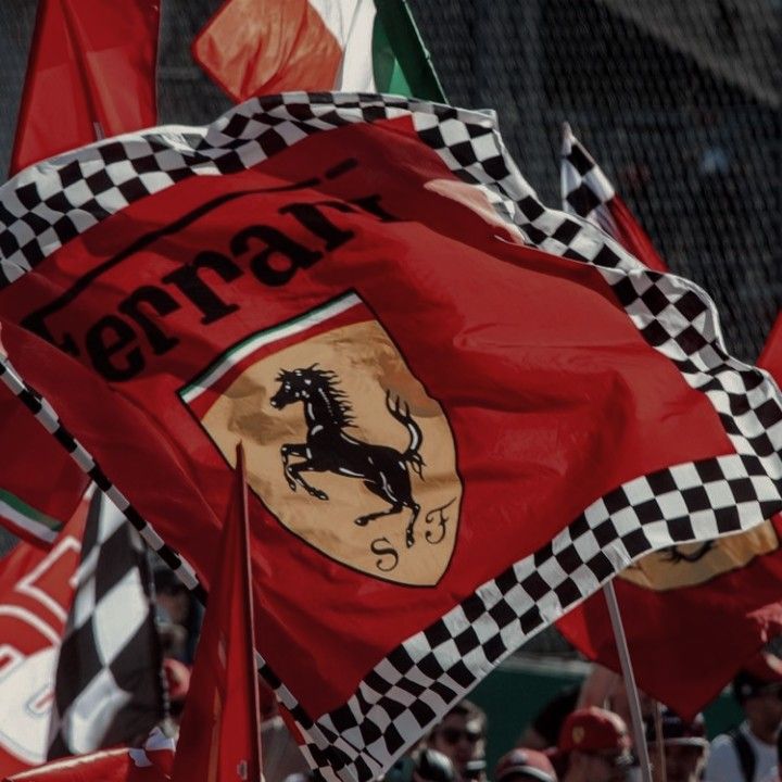 many ferrari flags are flying in the wind