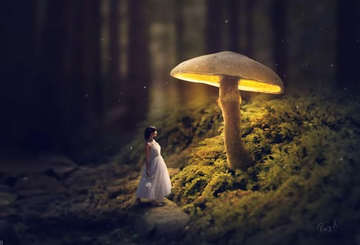 a woman standing next to a mushroom in the forest at night with light shining on it