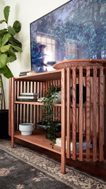 a wooden shelf with plants and books in front of a television