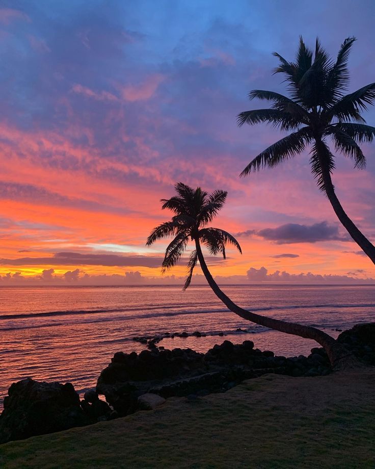 two palm trees on the beach at sunset