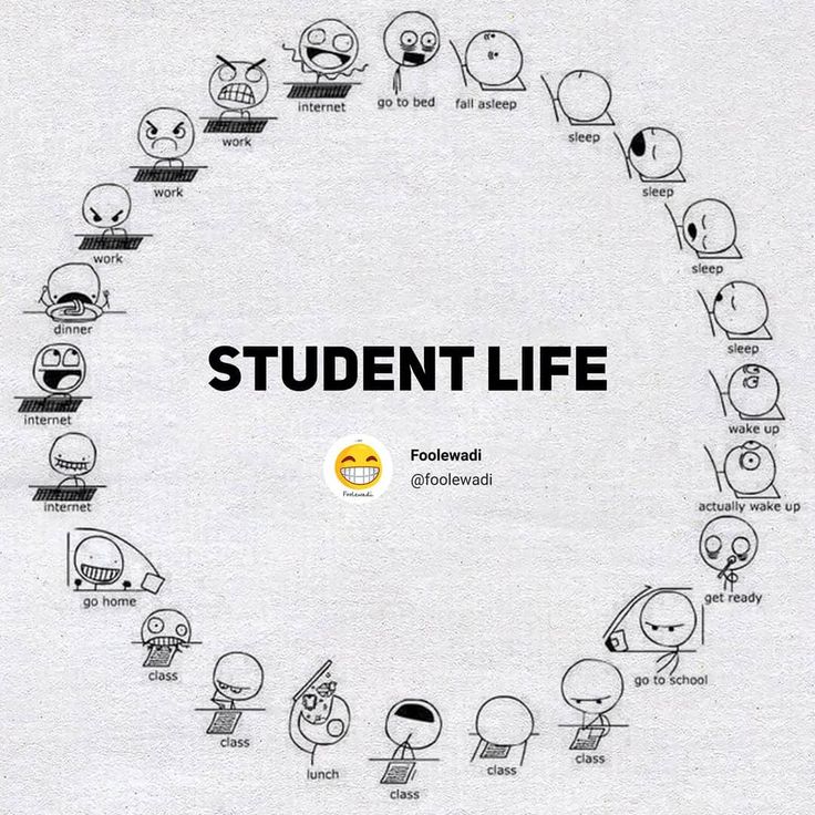 an image of a circle with the words student life written in it