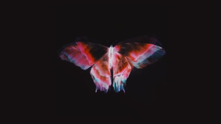 a colorful butterfly flying in the dark