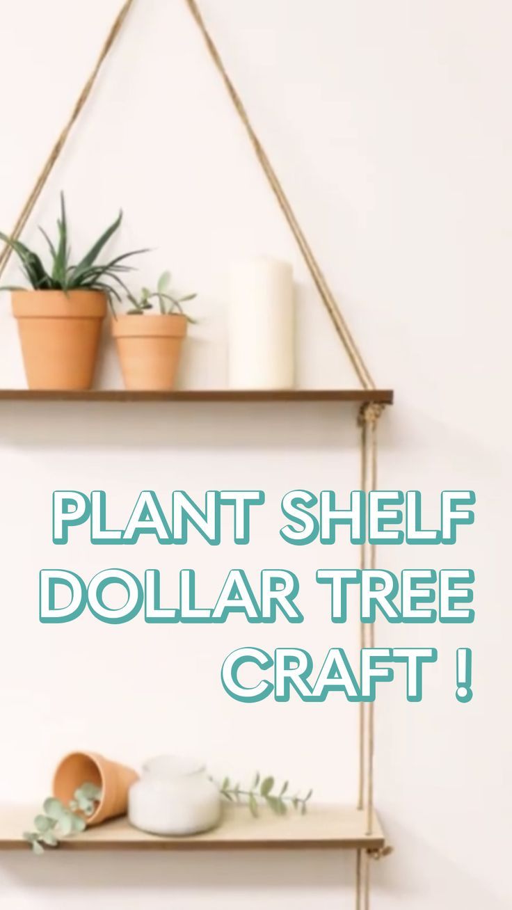 there is a shelf with plants on it and the words plant shelf dollar tree craft