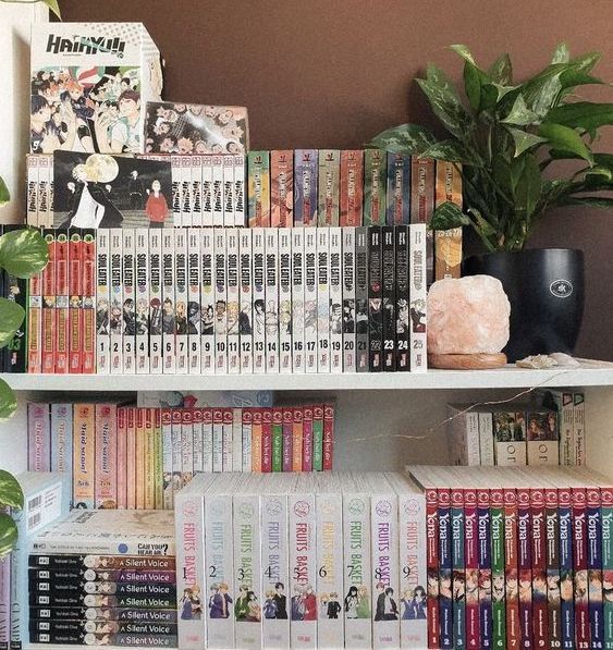 a shelf filled with lots of books next to a potted plant