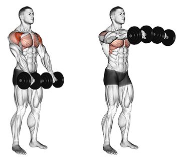 Exercise Database (Shoulders49) - Standing Dumbbell Front Raises — Jase Stuart - The Better Body Coach Shoulder Mass Workout, Arm Training, Shoulder Exercises, Dumbell Workout, Gym Antrenmanları, Arm Exercises, Fitness Routines, Exercise Routines, Shoulder Muscles