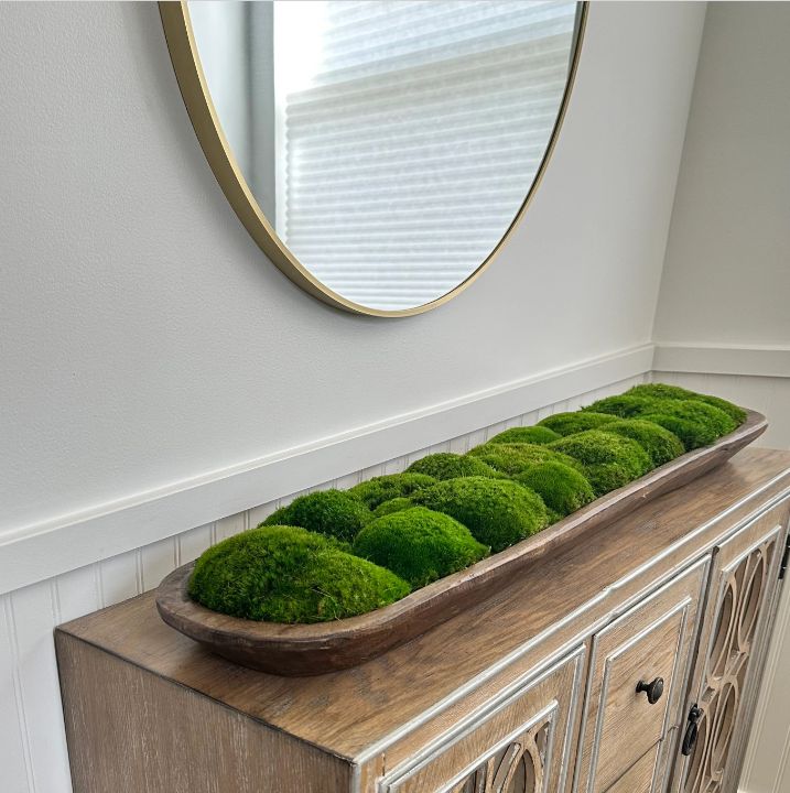 a wooden cabinet with moss growing on it and a round mirror in the corner behind it