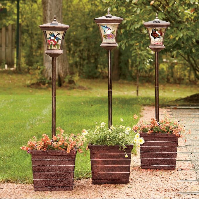 three potted plants are sitting in front of each other on the side of a path