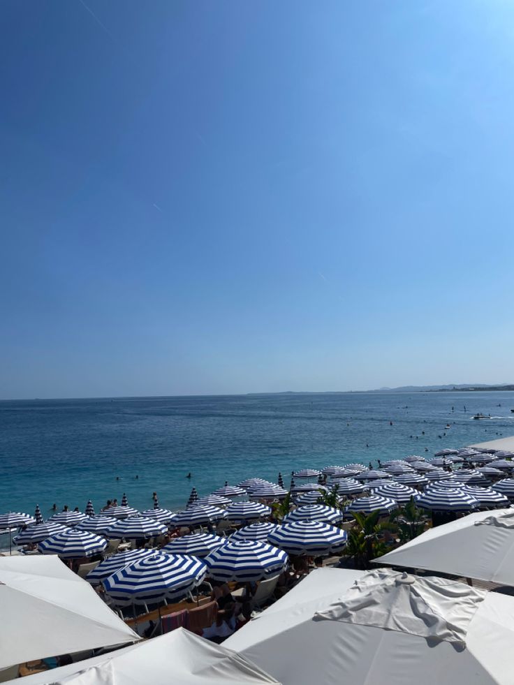 many white umbrellas are on the beach