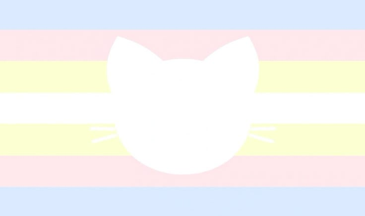 a cat's head is shown in front of a rainbow striped background