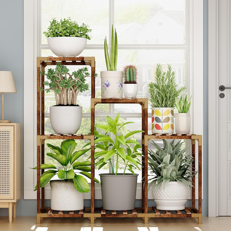 there are many potted plants on the shelf next to the window in the room